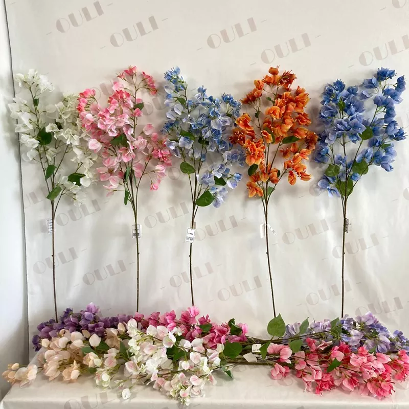 สาขา Bougainvillea เทียม