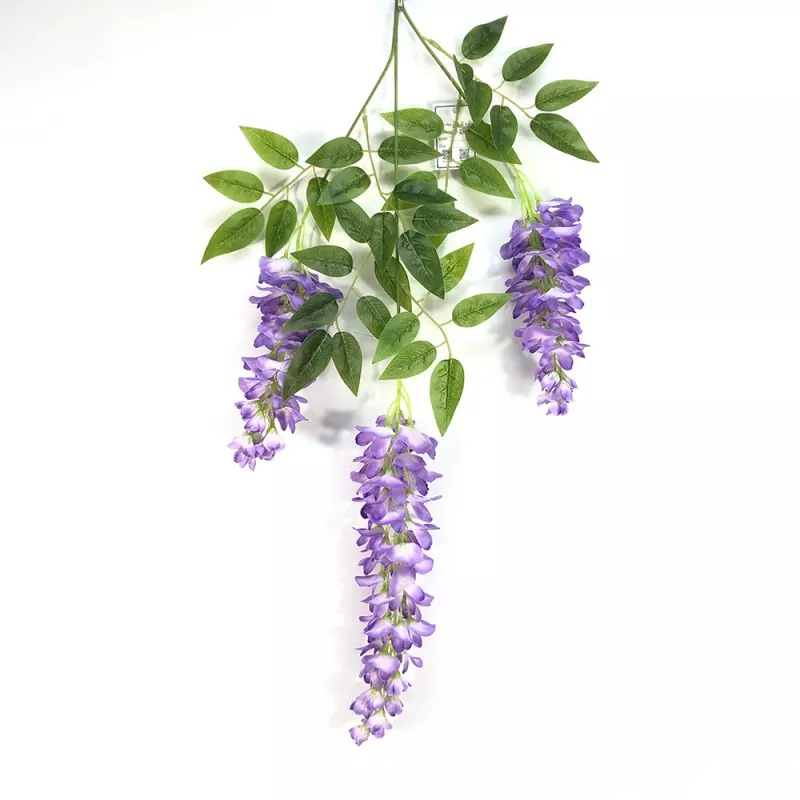 สาขา Wisteria ปลอม