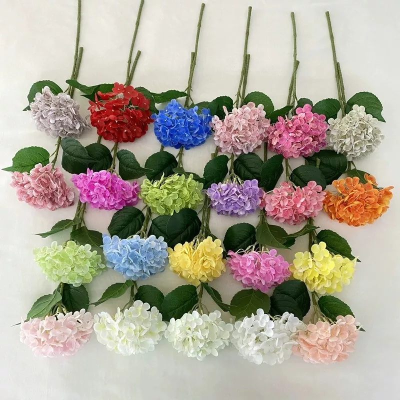 Hydrangea Touch Touch Flowers