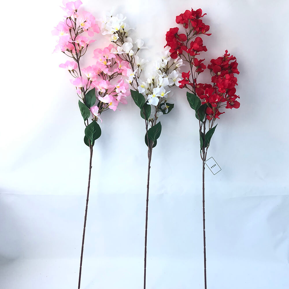 สเปรย์ดอกไม้ Bougainvillea