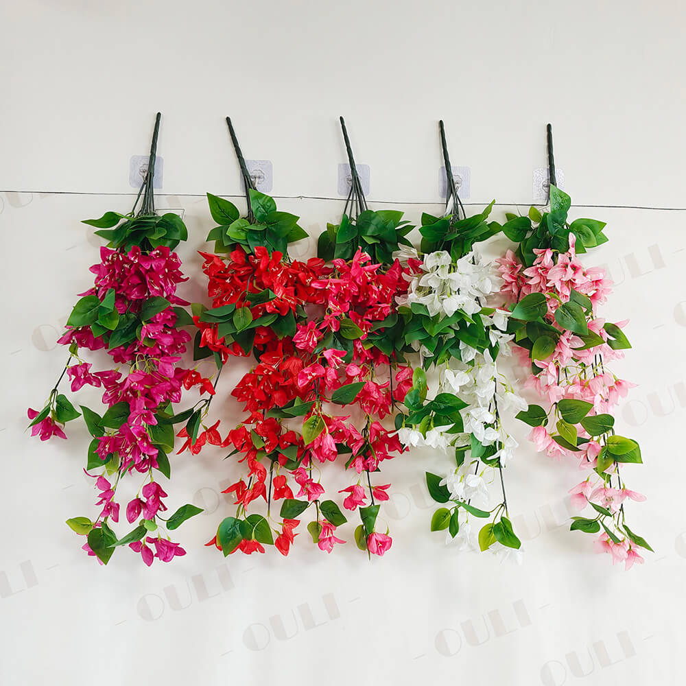 แขวนผนัง Bougainvillea